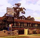 Golden Chain Ascot Motor Inn - Taree Accommodation