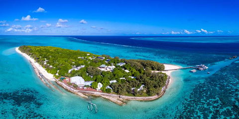 Heron Island Resort - Taree Accommodation 2