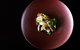 Mount Lofty House - thumb 10