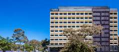 Mantra MacArthur Hotel - Taree Accommodation 0