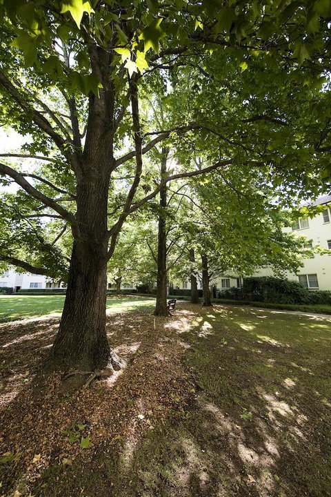 University House - ANU - Taree Accommodation 28