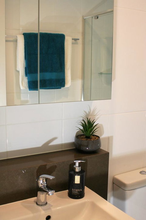 Modern Executive Apt@Barton*1BR*WiFi*Gym*Secure Parking*Canberra - Taree Accommodation 13