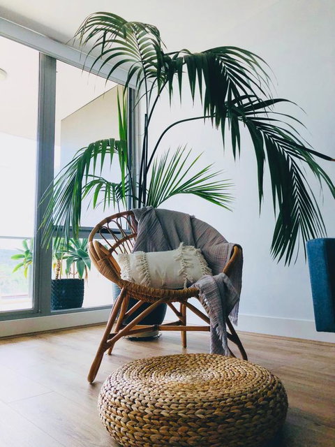 Staying Places - The Avenue - Taree Accommodation 14