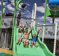 Discovery Parks  Barossa Valley - Taree Accommodation