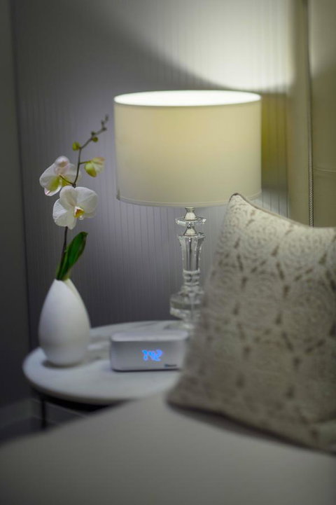 Mayfair Hotel - Taree Accommodation 13