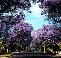 Monaco Court Apartment Adelaide - Taree Accommodation