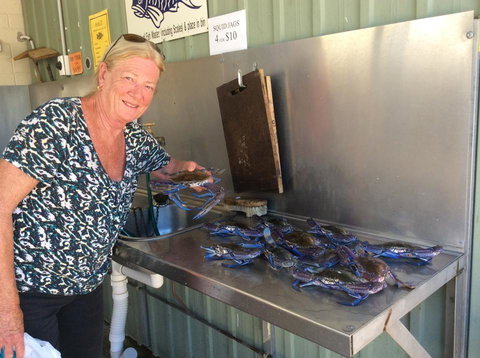 Ceduna Foreshore Caravan Park - Taree Accommodation 28