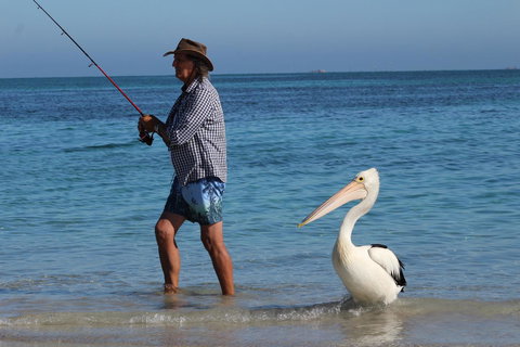Ceduna Foreshore Caravan Park - Taree Accommodation 21