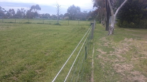 Gaerwood B&B - Taree Accommodation 17