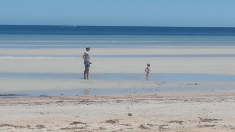 Wallaroo Sunset Home - Taree Accommodation 16