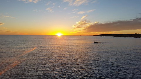 Wallaroo Sunset Home - Taree Accommodation 26