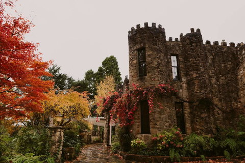 The Manor Basket Range - Taree Accommodation 15