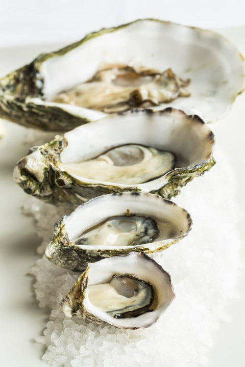 Port Lincoln Hotel - Taree Accommodation 29