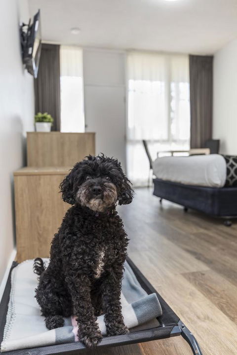 Adelaide Road Motor Lodge - Taree Accommodation 2