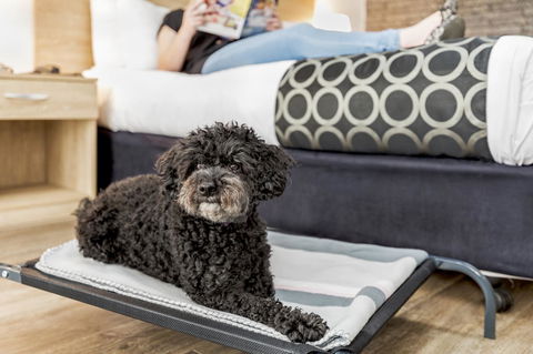 Adelaide Road Motor Lodge - Taree Accommodation 5