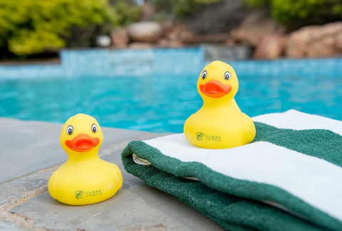 Clare Country Club - Taree Accommodation 7