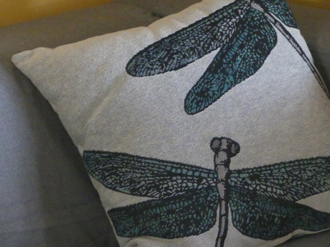 KI Dragonfly Guesthouse - Taree Accommodation 43
