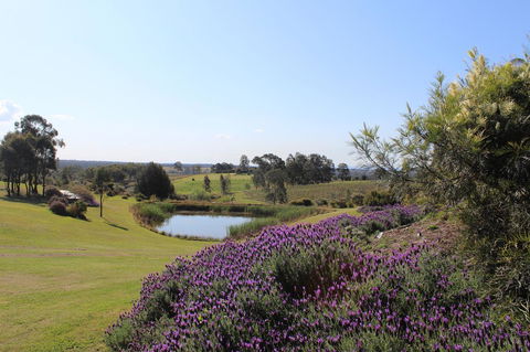 Beltana Villas - Taree Accommodation 7