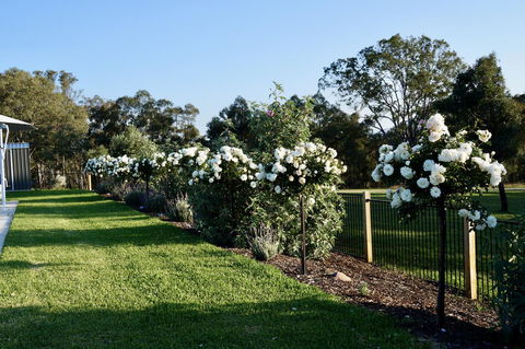 Beltana Villas - Taree Accommodation 2