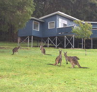 Blue House Denmark - Taree Accommodation