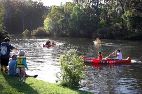Riverview Tourist Park - Taree Accommodation 16