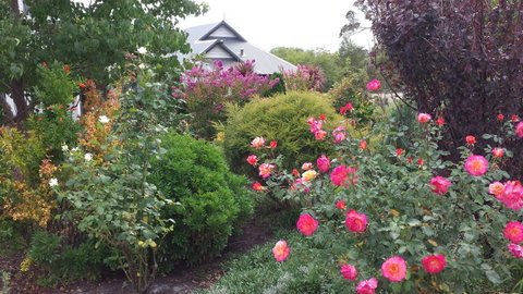 Glenelg On King Bed & Breakfast - Taree Accommodation 15