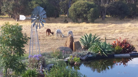 Glenelg On King Bed & Breakfast - Taree Accommodation 19