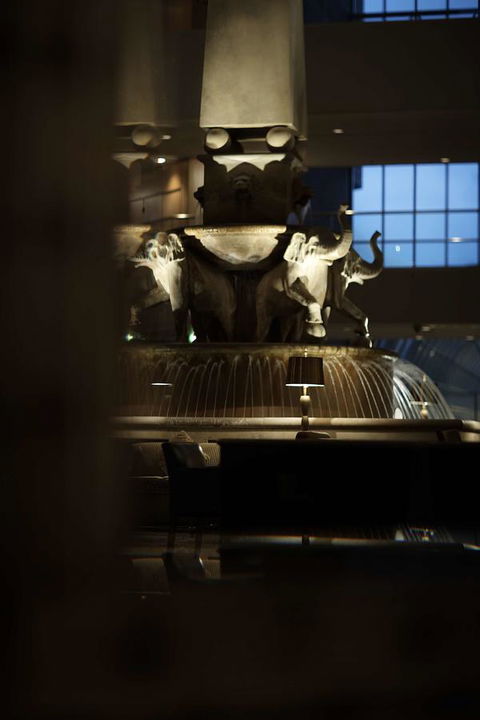 Residence On Langley Park - Taree Accommodation 30