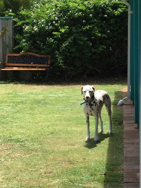 Beachside Prevelly Villas - Taree Accommodation 31