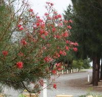 The Heights Bed  Breakfast - Taree Accommodation