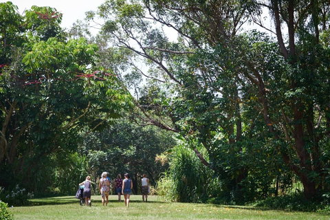 Ingenia Holidays Byron Bay - Taree Accommodation 11