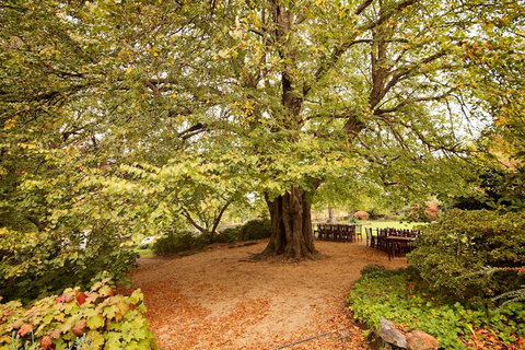 Nesuto Leura Gardens (formerly Waldorf Leura Gardens Resort) - Taree Accommodation 1