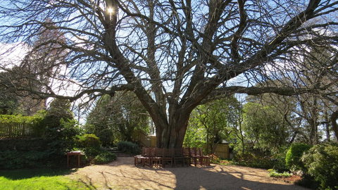 Nesuto Leura Gardens (formerly Waldorf Leura Gardens Resort) - Taree Accommodation 3