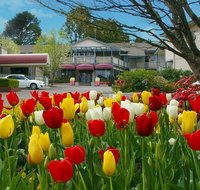 Nesuto Leura Gardens formerly Waldorf Leura Gardens Resort - Taree Accommodation