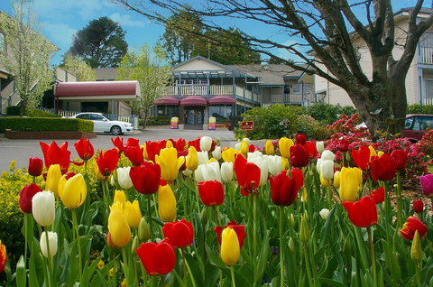 Nesuto Leura Gardens (formerly Waldorf Leura Gardens Resort) - Taree Accommodation 0