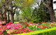 Nesuto Leura Gardens (formerly Waldorf Leura Gardens Resort) - thumb 8