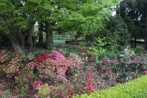 Nesuto Leura Gardens (formerly Waldorf Leura Gardens Resort) - Taree Accommodation 2