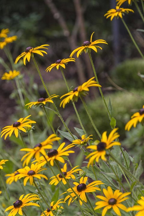 Nesuto Leura Gardens (formerly Waldorf Leura Gardens Resort) - Taree Accommodation 15