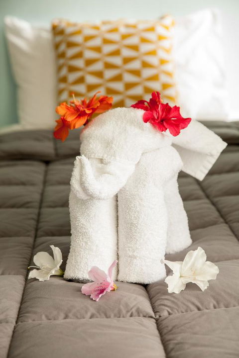 Kempsey Rose Motor Inn - Taree Accommodation 17