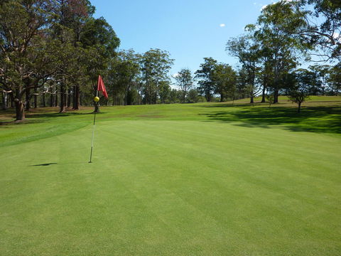 Kempsey Rose Motor Inn - Taree Accommodation 3