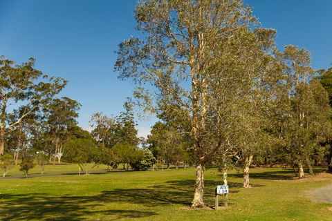 Kempsey Rose Motor Inn - Taree Accommodation 32