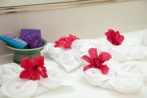 Kempsey Rose Motor Inn - Taree Accommodation 14