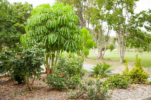 Kempsey Rose Motor Inn - Taree Accommodation 42