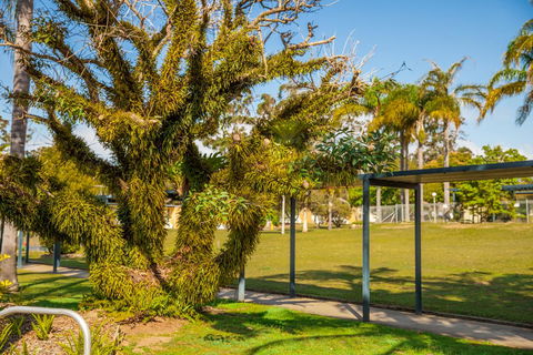 Kempsey Rose Motor Inn - Taree Accommodation 41