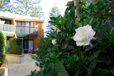 The Crest Byron Bay - Taree Accommodation 29