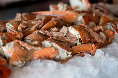 Hyatt Regency Sydney - Taree Accommodation 43