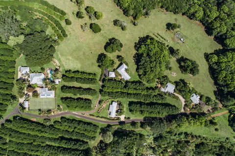 Byron Hinterland Villas - Taree Accommodation 17