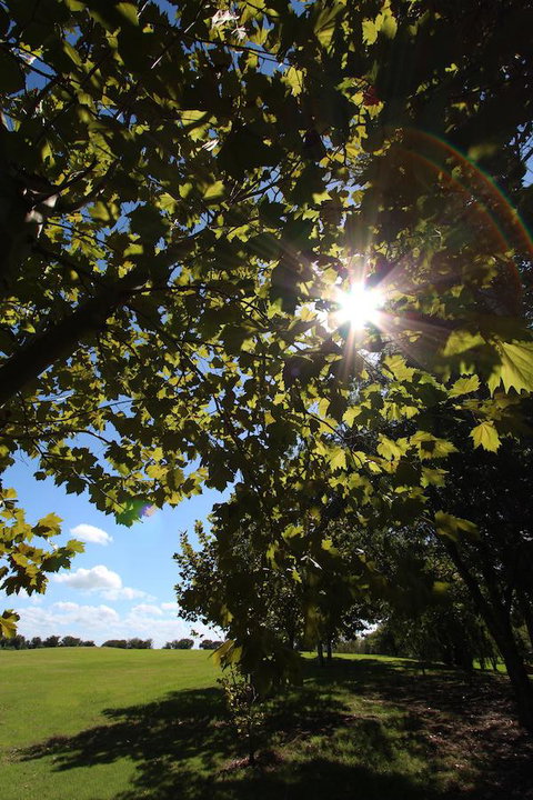 Crowne Plaza Hawkesbury Valley, An IHG Hotel - Taree Accommodation 43
