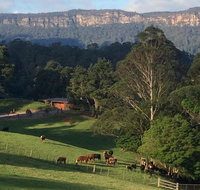 Amaroo Valley Springs - Taree Accommodation