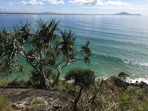 Hat Head Beach Cottage 1 - Taree Accommodation 23
